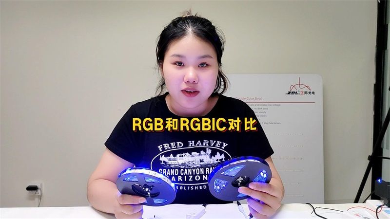 RGB vs RGBIC: 燈帶中的兩大巨頭有什么區別？