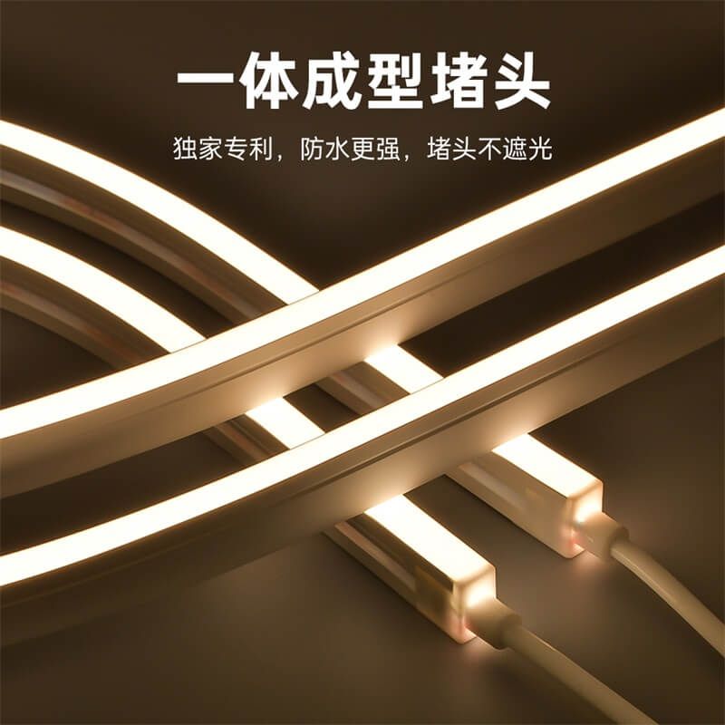 IP68防水燈帶泳池戶外專屬一體注塑成型工藝低壓霓虹燈帶20x12 側發光 - 4