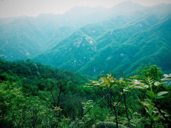 SMD2835防水LED燈帶120燈每米IP67工程熱銷款 - 3