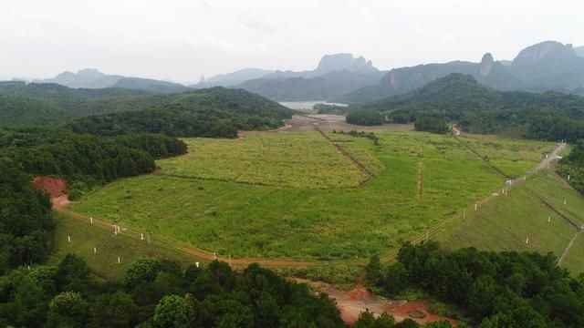 SMD2835雙色溫燈帶(3000K/6000K)每米120燈DC24V - 5