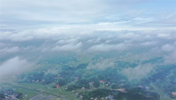 漫反射燈條低壓24V高亮透鏡燈帶招牌燈箱發光字專屬 - 5