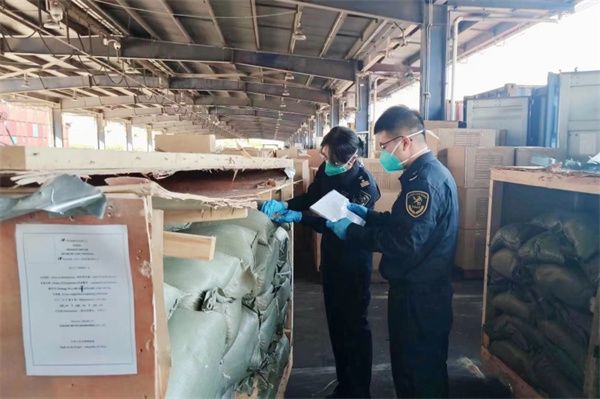 七彩RGB單色變換LED燈帶｜耐用柔性工程裝飾燈帶 - 2