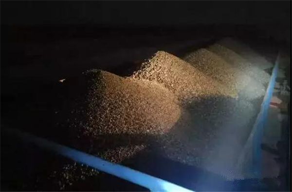 TM1814B外置IC可尋址單點單控四合一RGBW燈帶 - 5