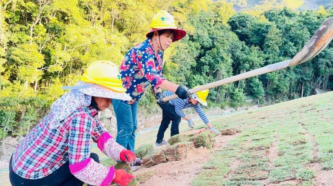 三排270燈/米寬板LED燈帶｜25?mm低壓高亮柔性工程燈帶 - 3