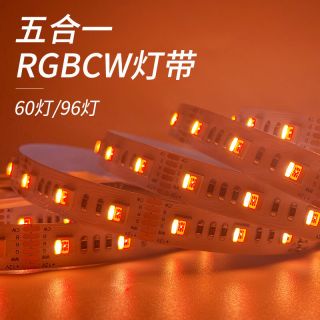 5050 五合一 RGB CCT 雙色溫 LED 燈帶，6 線獨立調(diào)光，支持 DC12V/24V - 2