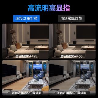 COB RGBCW (3000K+6000K) 五合一840燈每米氛圍照明兩用DC24V - 4