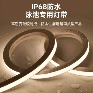 IP68防水泳池LED燈帶｜15x16低壓正發(fā)光｜一體注塑耐用燈帶廠家直供 - 4