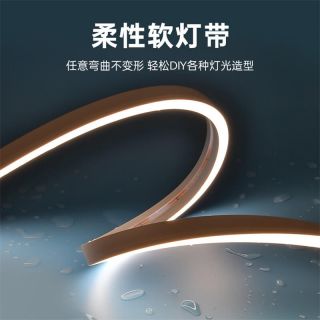 IP68防水燈帶泳池戶外專屬一體注塑成型工藝低壓霓虹燈帶20x12 側發光 - 2