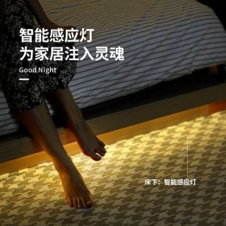 感應(yīng)燈帶USB插電款5V人體感應(yīng)COB燈帶批發(fā) - 2