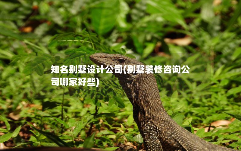 知名別墅設(shè)計公司(別墅裝修咨詢公司哪家好些) 知名別墅設(shè)計公司(別墅裝修咨詢公司哪家好些)